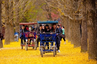 HÀ NỘI- SEOUL- NAMI- EVERLAND 5N BAY JIN AIRLINE