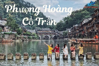 PHƯỢNG HOÀNG CỔ TRẤN- TRƯƠNG GIA GIỚI 5N