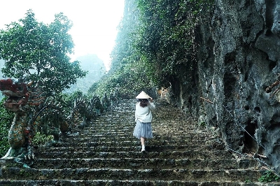 HOA LƯ- TRÀNG AN- HANG MÚA 1N
